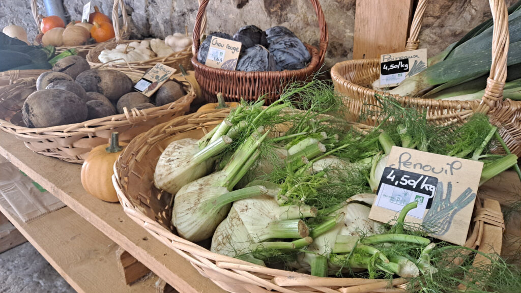 Tout savoir sur les fermes en maraîchage bio